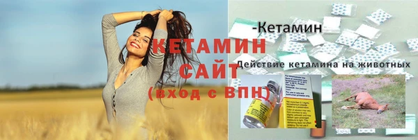 сатива Куйбышев