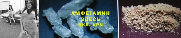 PSILOCYBIN Кукмор