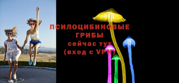 PSILOCYBIN Кукмор