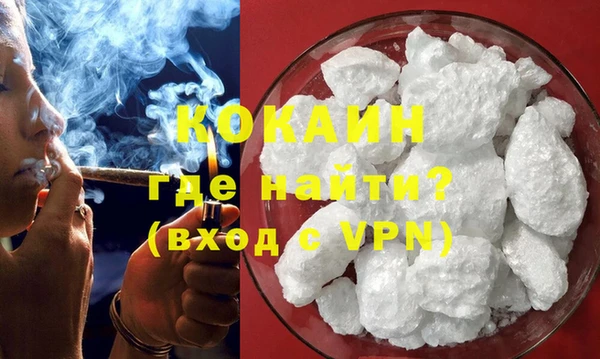 PSILOCYBIN Кукмор