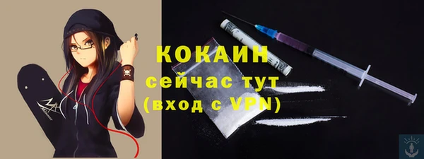 сатива Куйбышев
