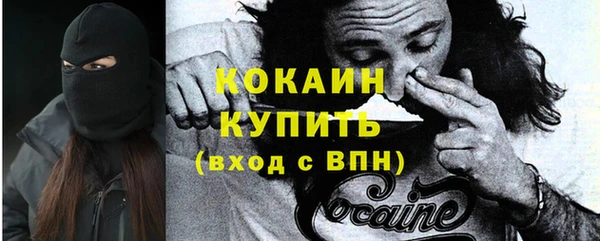 PSILOCYBIN Кукмор