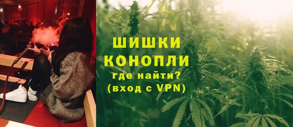 сатива Куйбышев