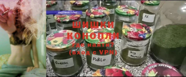 сатива Куйбышев
