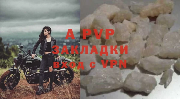 PSILOCYBIN Кукмор