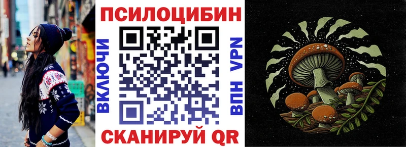 Галлюциногенные грибы Psilocybine cubensis  Купить закладки  Калтан 